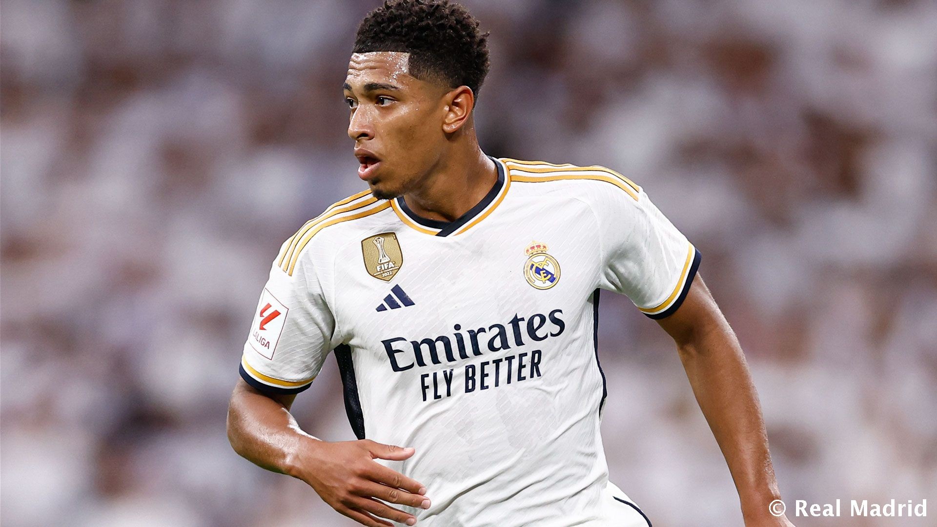 女子篮球联赛精彩进球回顾（女篮联赛高光进球集锦）